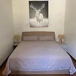Aparthotel Maison Poluc - Cadeau Des Alpes Champoluc