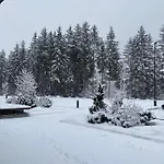 Ξενοδοχείο με διαμερίσματα Maison Poluc - Cadeau Des Alpes Champoluc