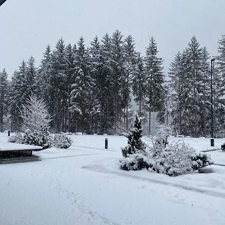 Апарт-отель Maison Poluc - Cadeau Des Alpes Камполук